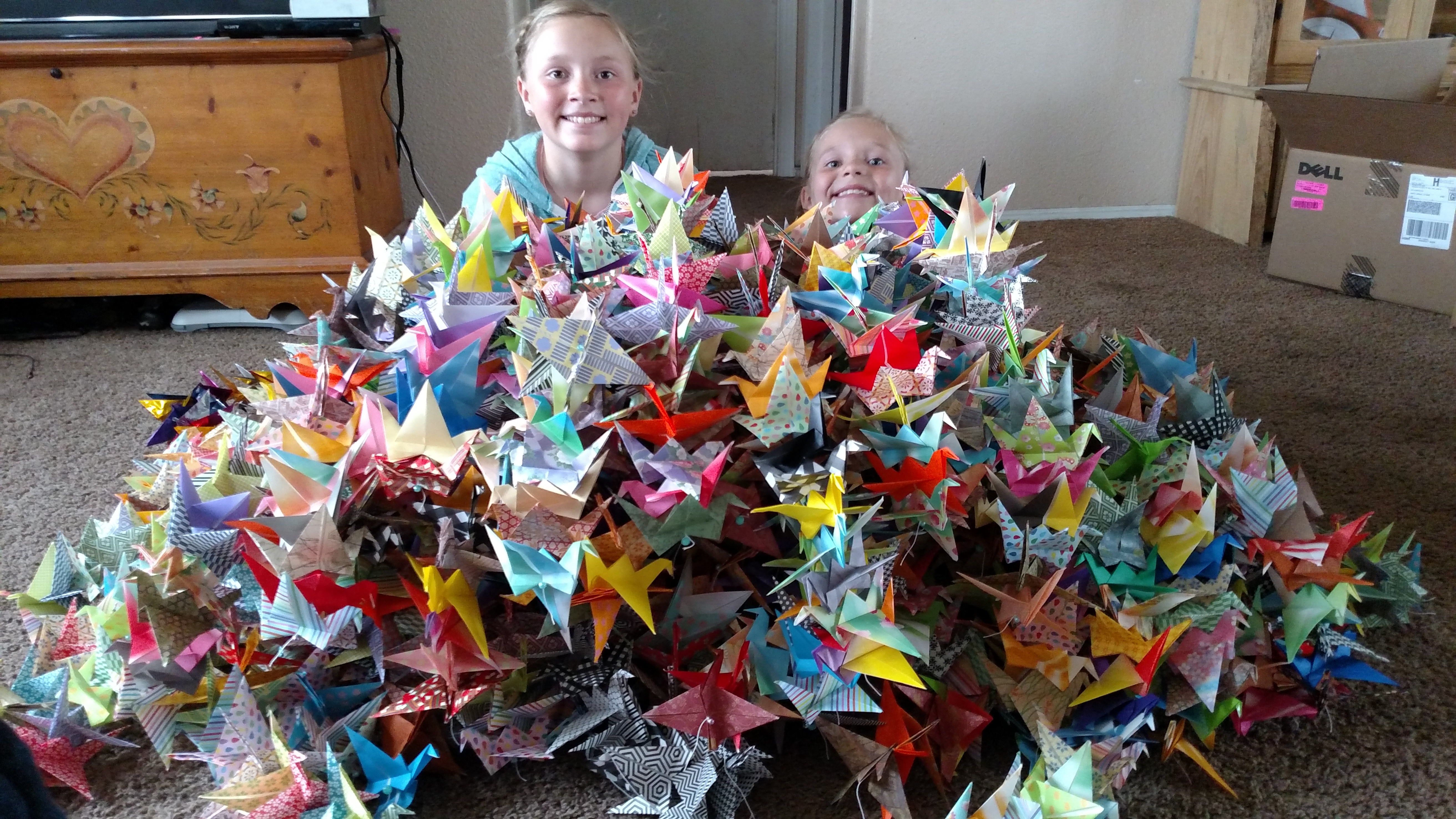 Sam and Jo Brady folded 1,989 paper cranes to donate to Taylor Swift's mother. (Photo: Laurie Brady)