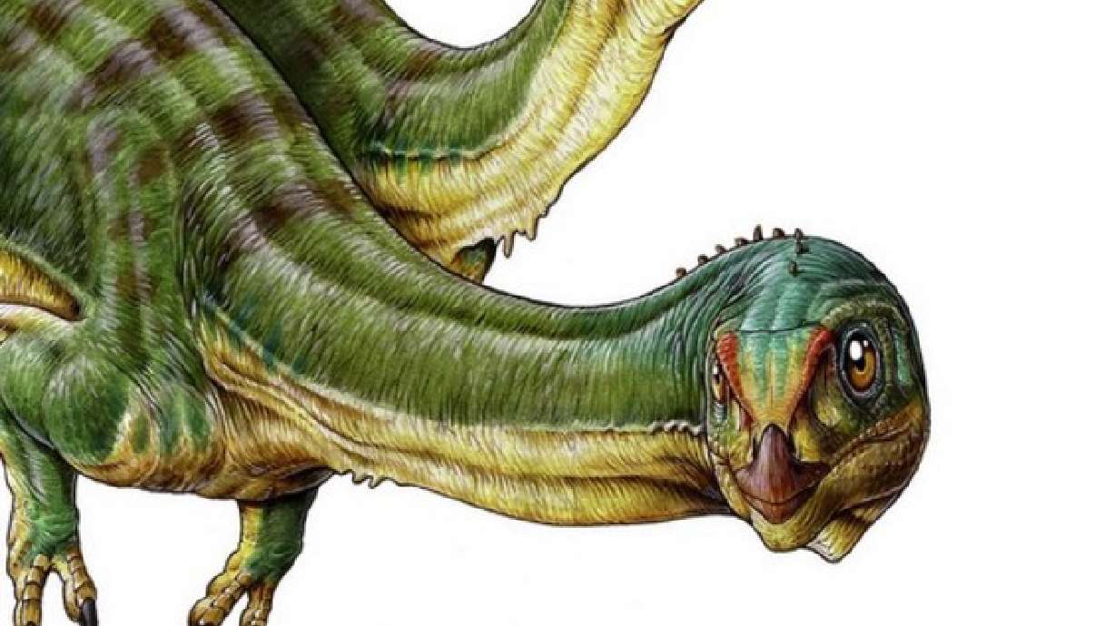 Niño chileno de 7 años de edad descubre el 'ornitorrinco' de los dinosaurios
