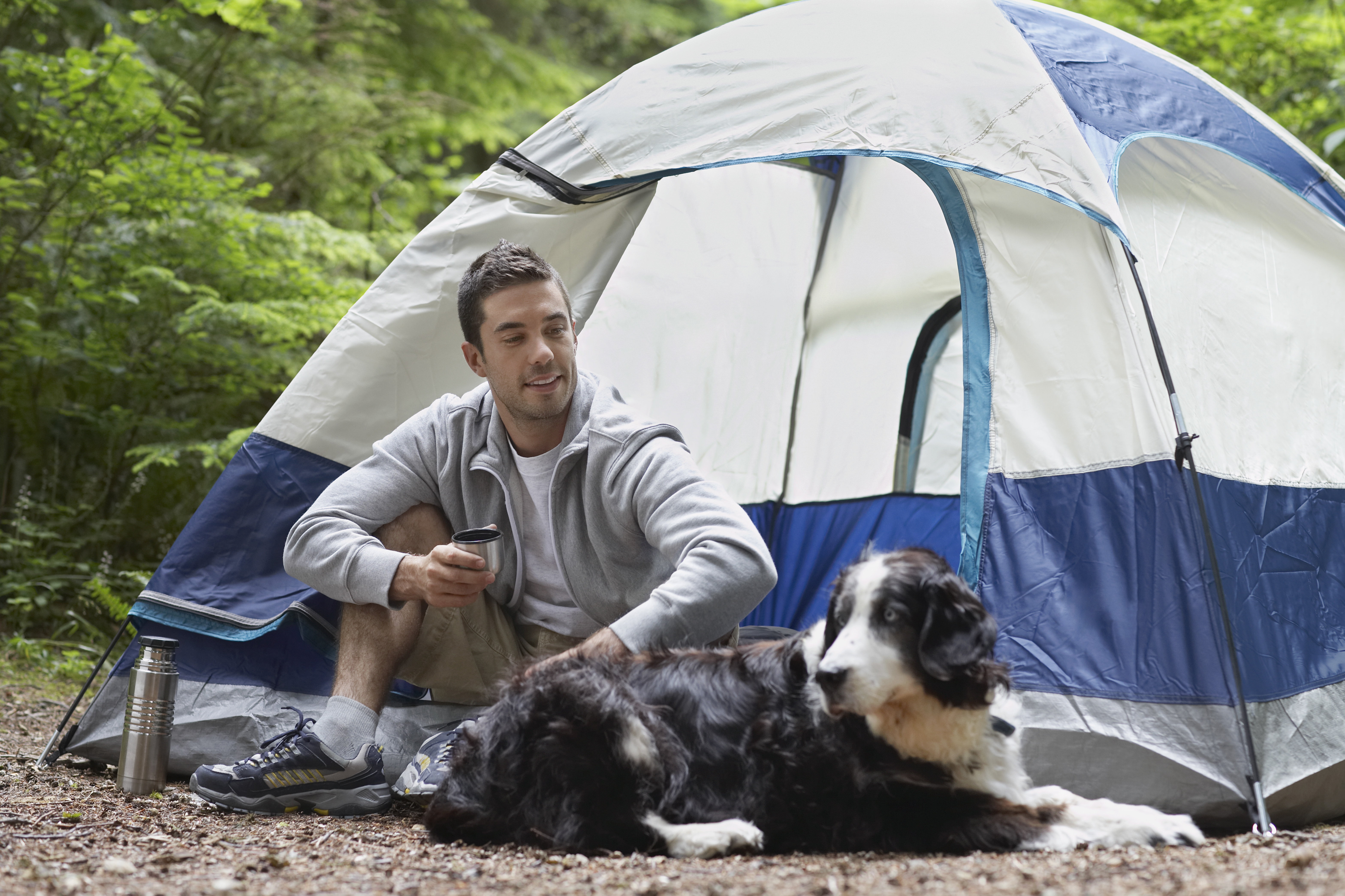 4 camping gear products for dog owners