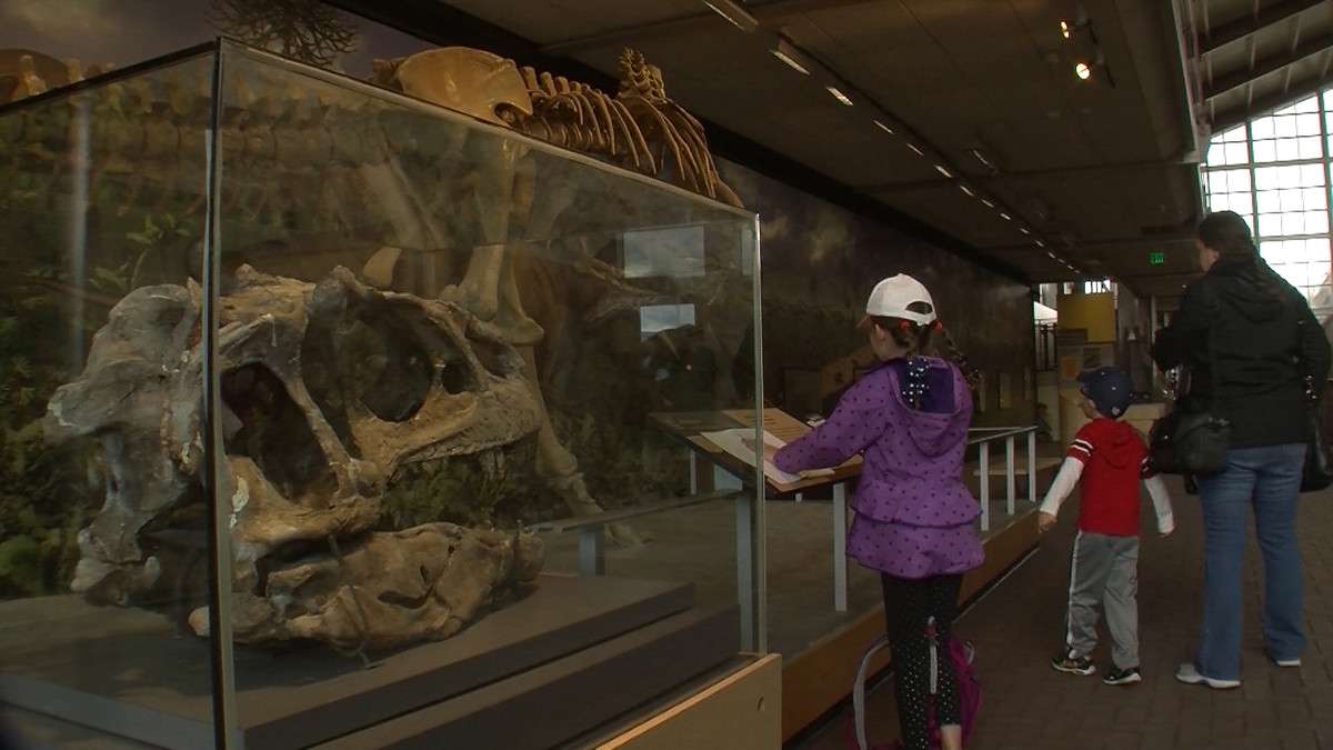 Dinosaur National Monument 2015. Photo: Geoff Liesik/KSL-TV