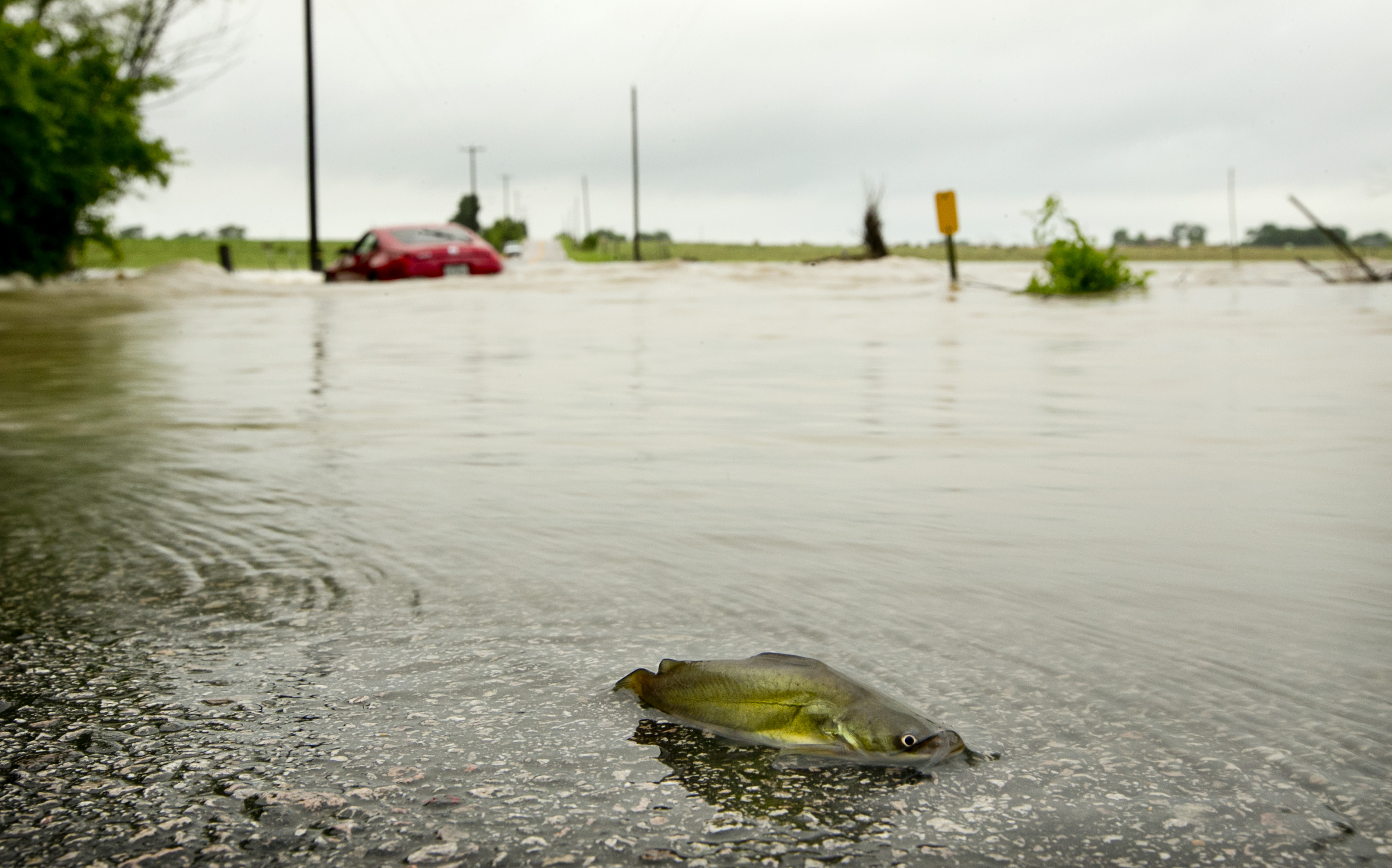 After heavy storms, forecasters predict more to come