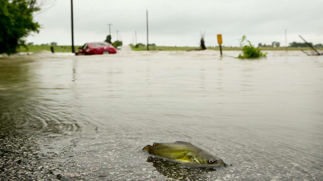 After heavy storms, forecasters predict more to come