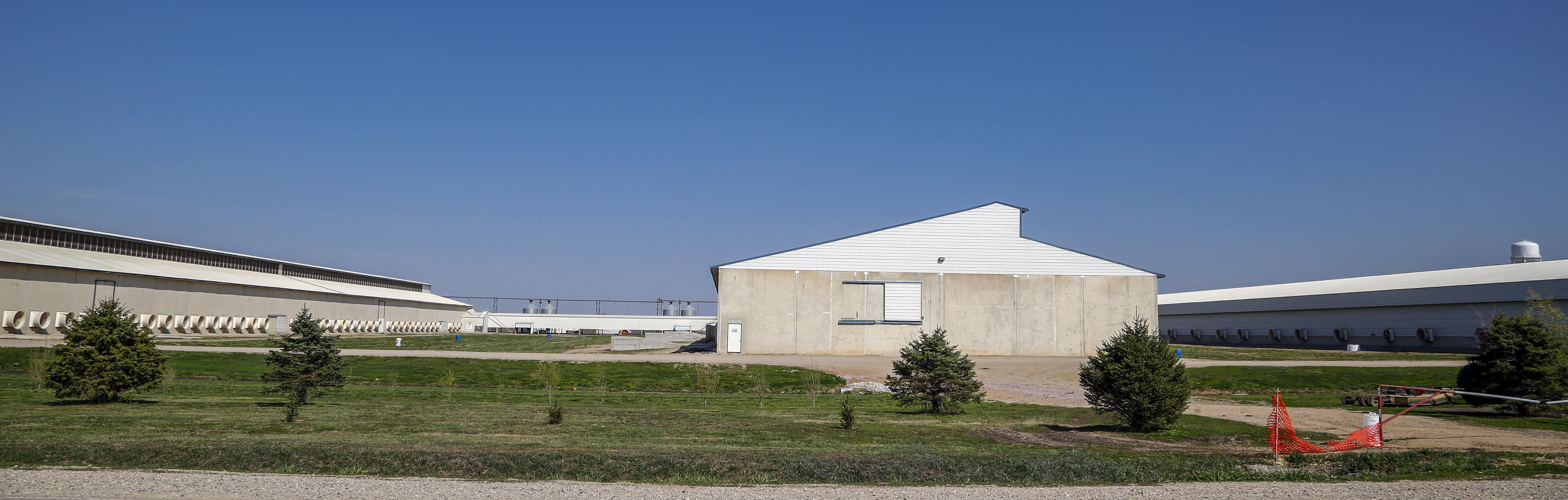 Decomposing turkeys and chickens lead to odors, flies