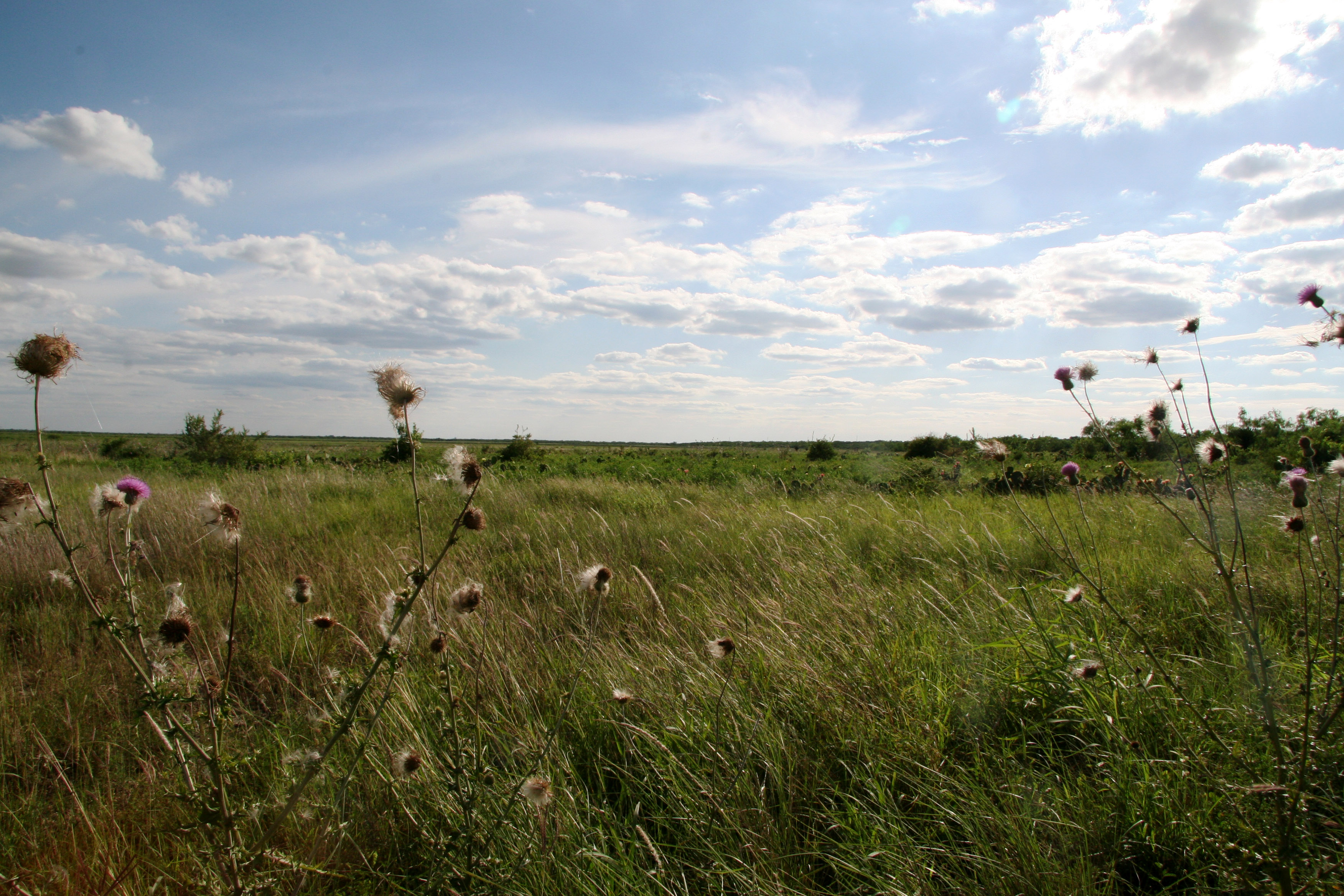 Final Civil War land battle was 150 years ago _ in Texas