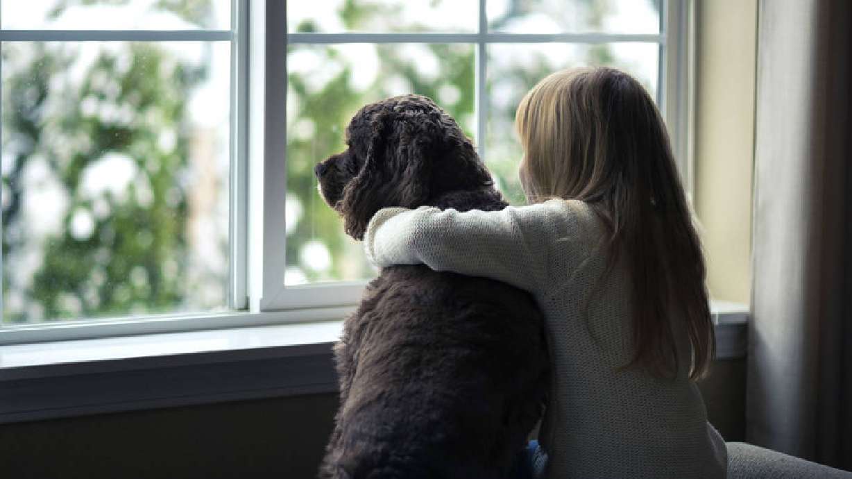 Children more likely to confide in pets than siblings, study says
