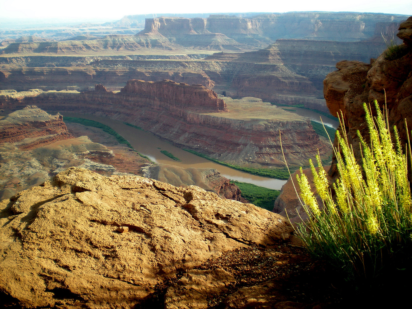 4 activities to enjoy in Dead Horse Point State Park