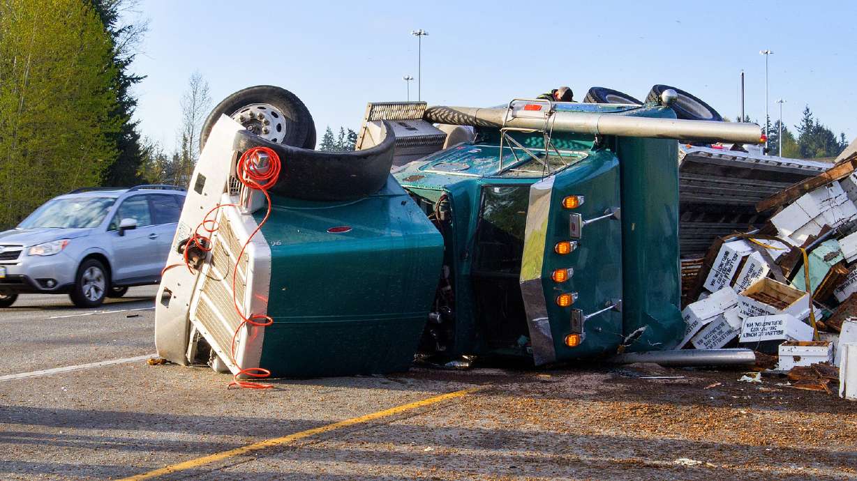 Driver fined after truck tipped, spilled millions of bees