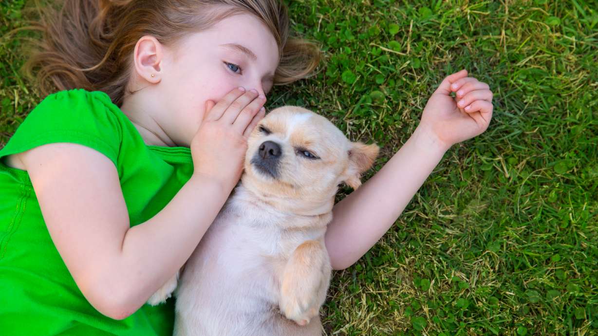 Los niños son más propensos a confiar en las mascotas que en sus hermanos