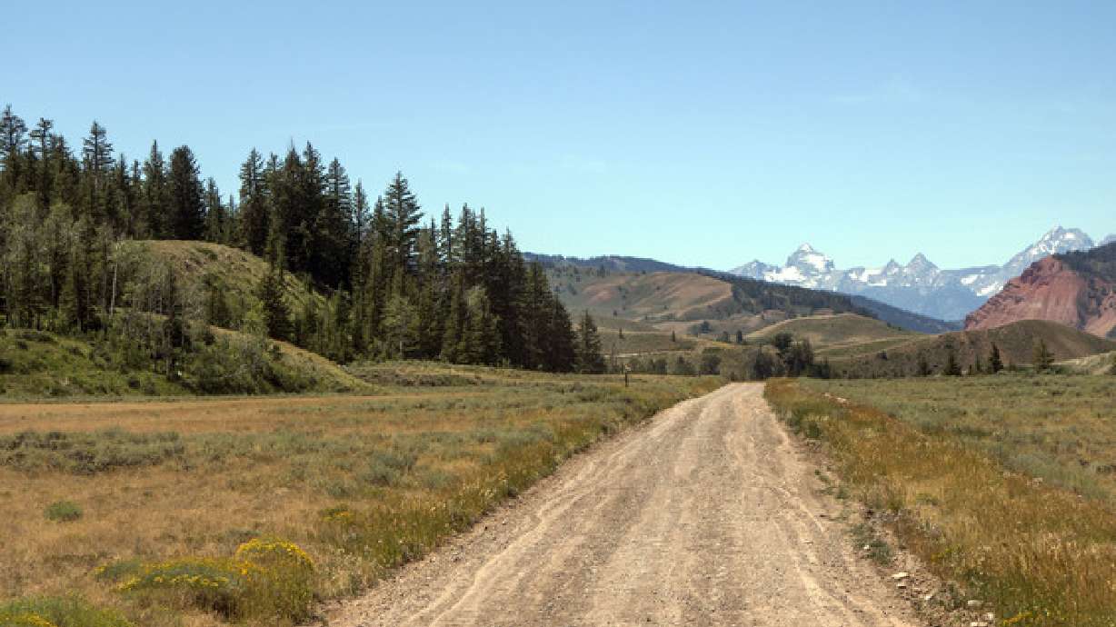 Employer of bear mauling victim could face $15K in fines