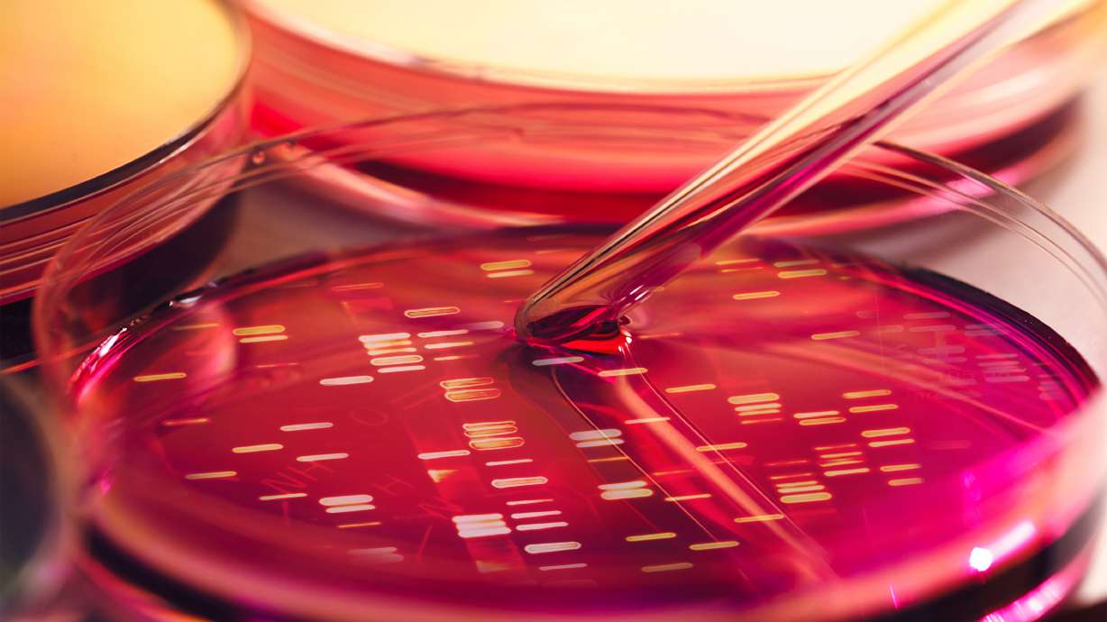 Confirman identidad de Alondra, joven buscada por su madre por 8 años