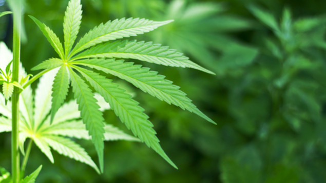 Utah lawmakers advance bill legislating sale, distribution and doctor recommendation of CBD oil