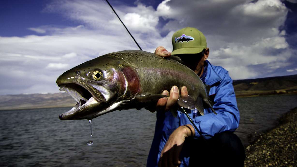 Fishing hot spots to check out during Memorial Day weekend