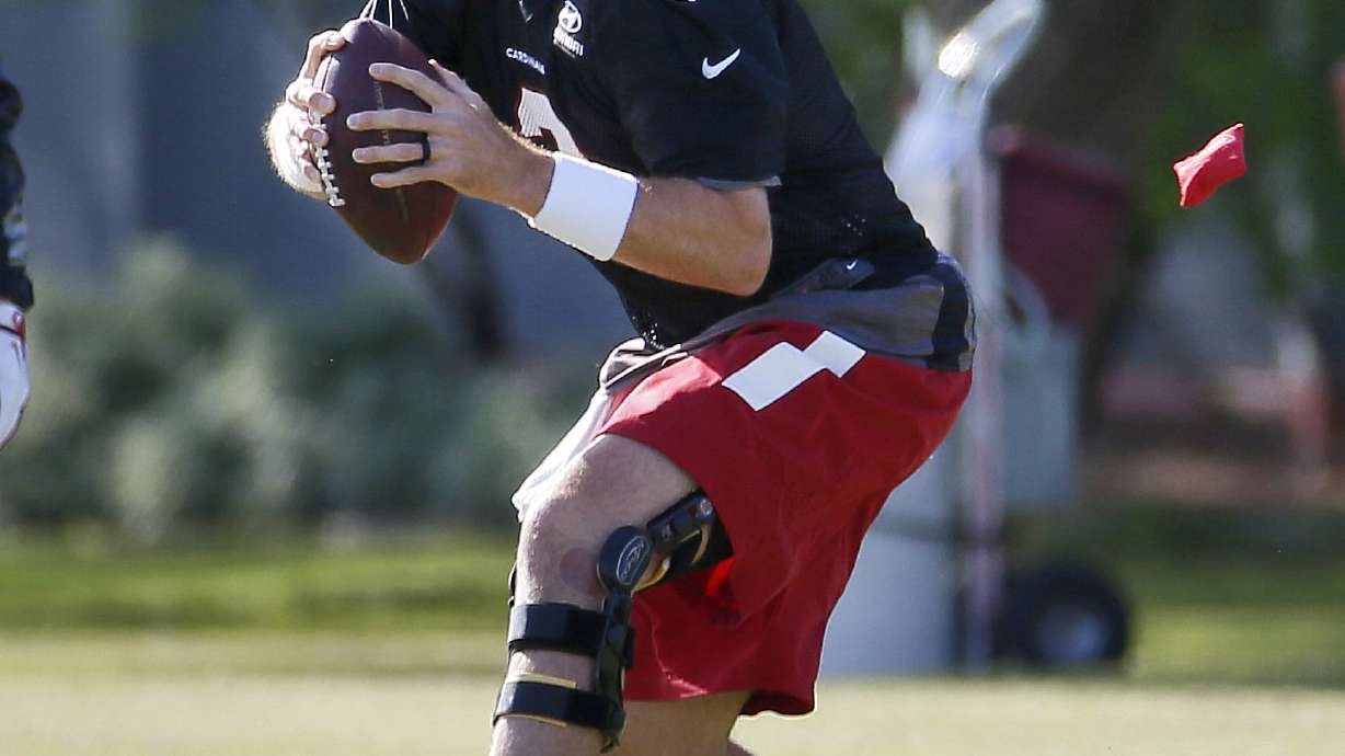 Rehabbing from injury, QB Palmer knows window is closing