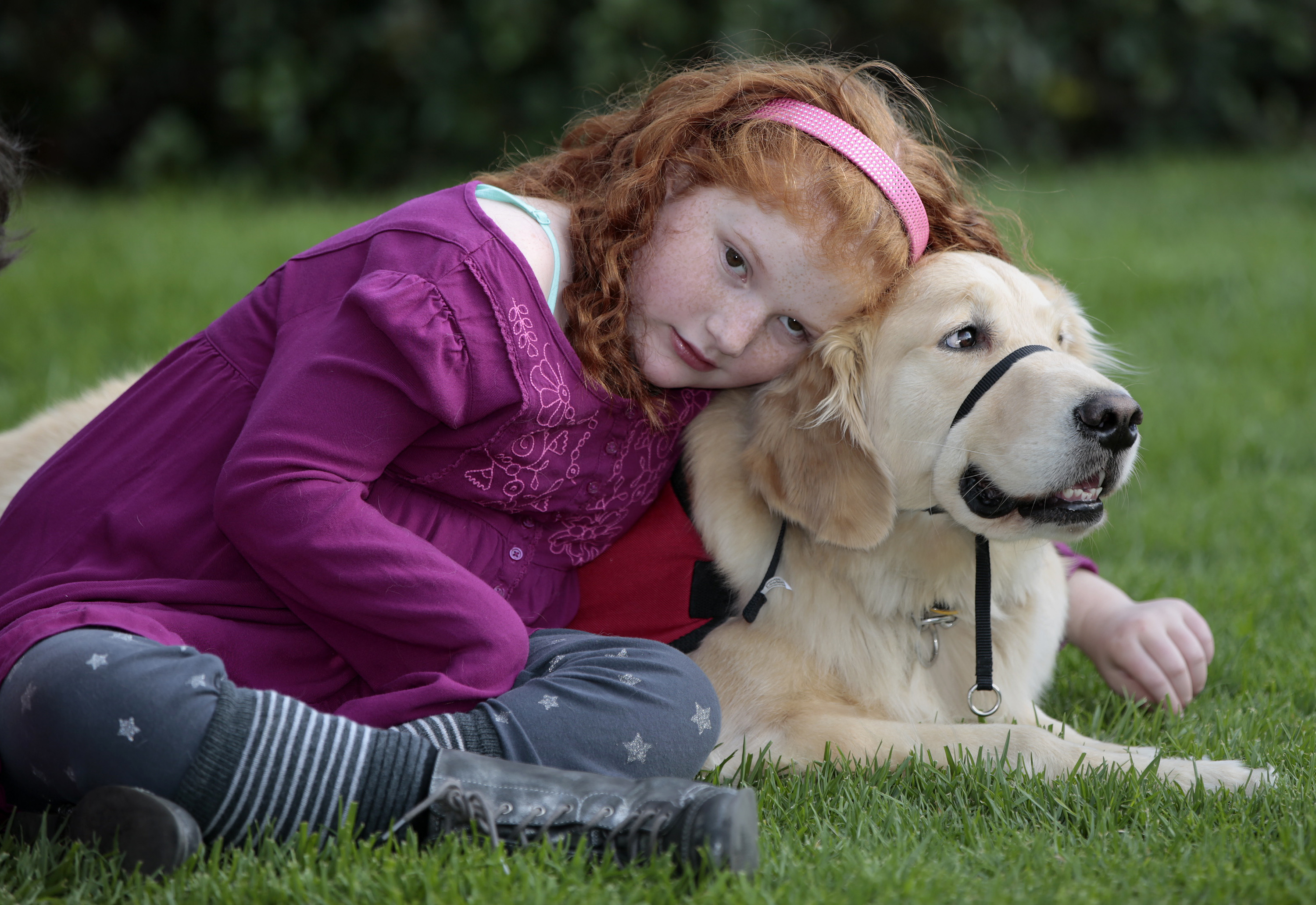 Service dogs that sniff out seizures improve kids' lives