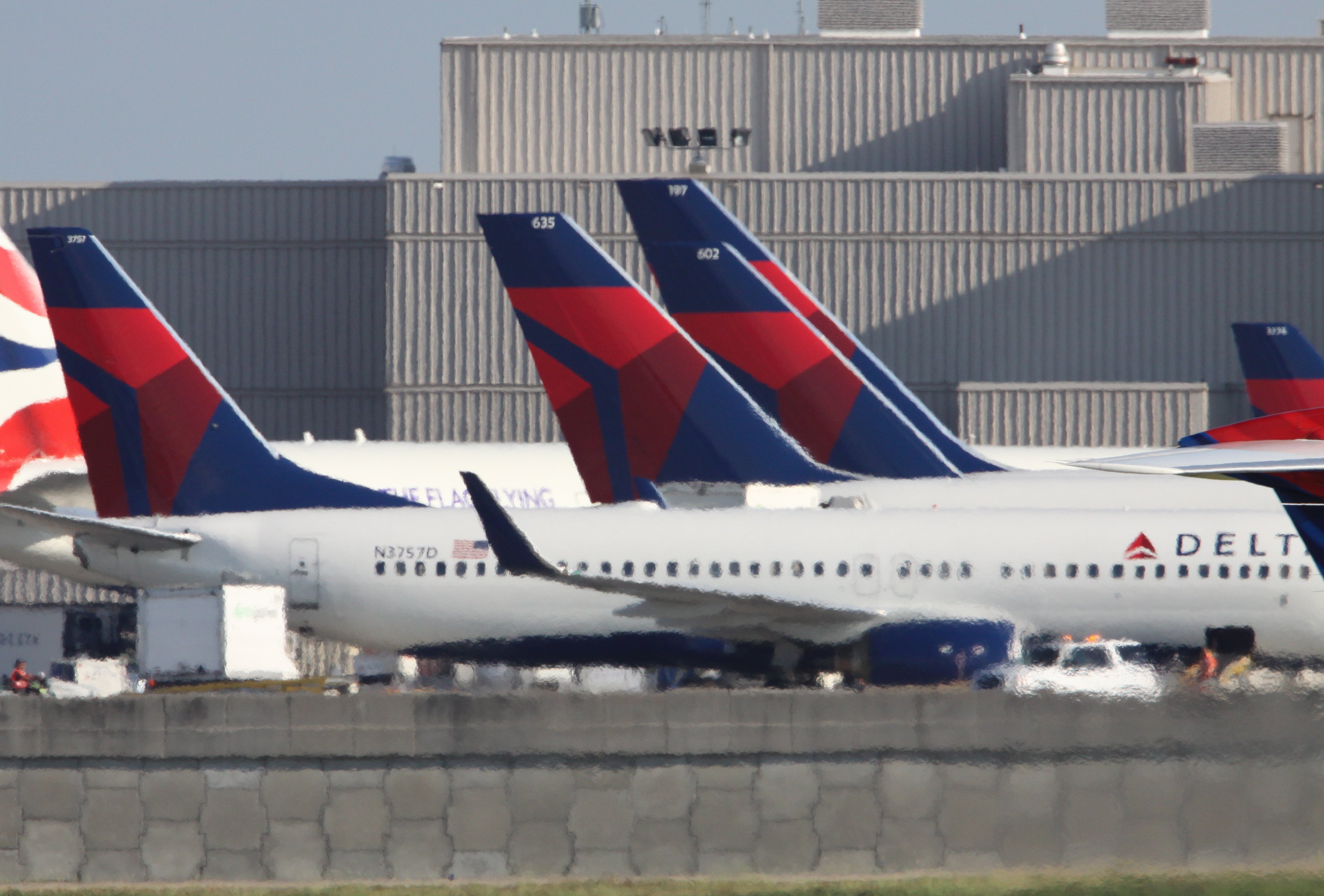 Delta Air Lines grounds travel websites