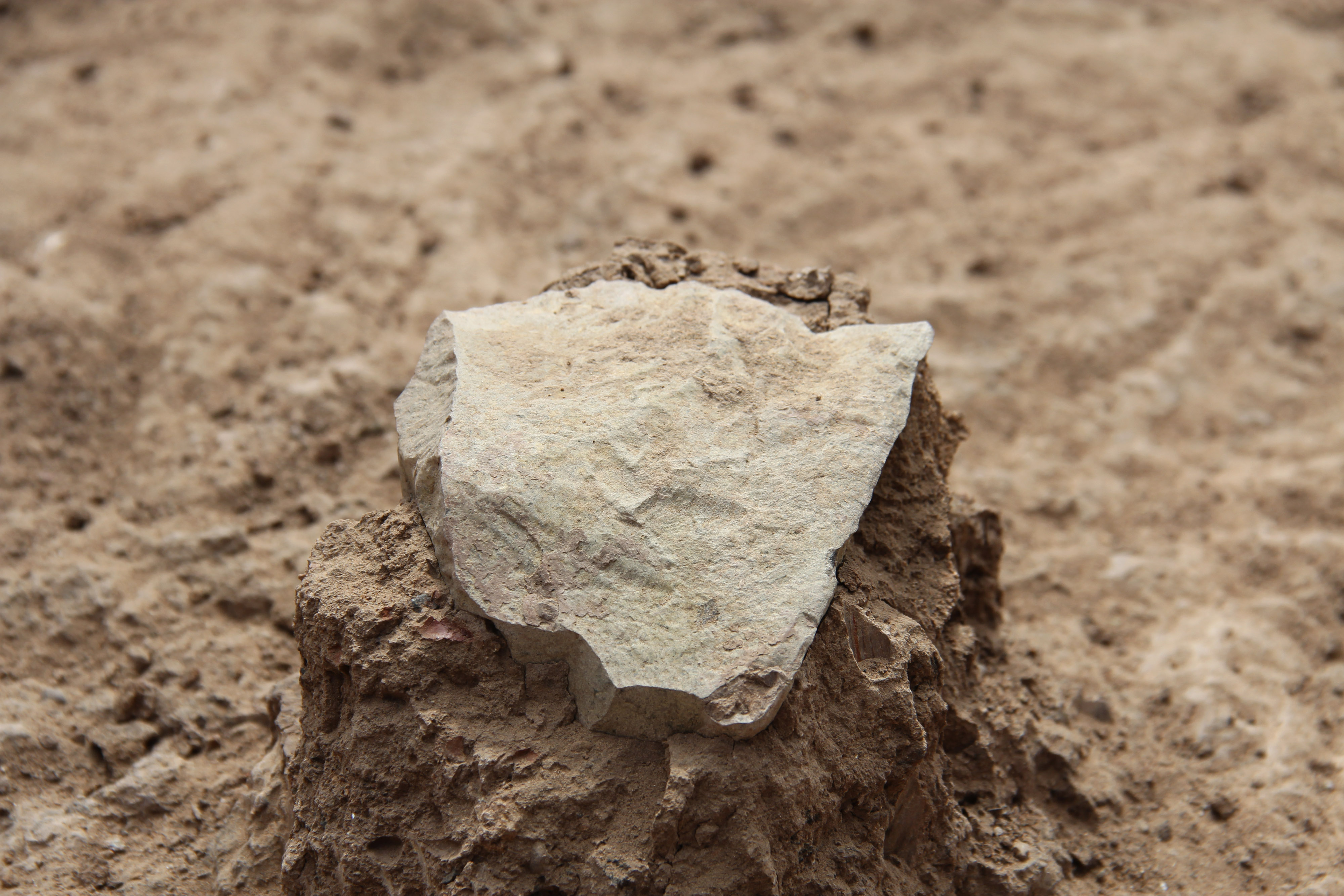 Oldest known stone tools found in Kenya; makers not known