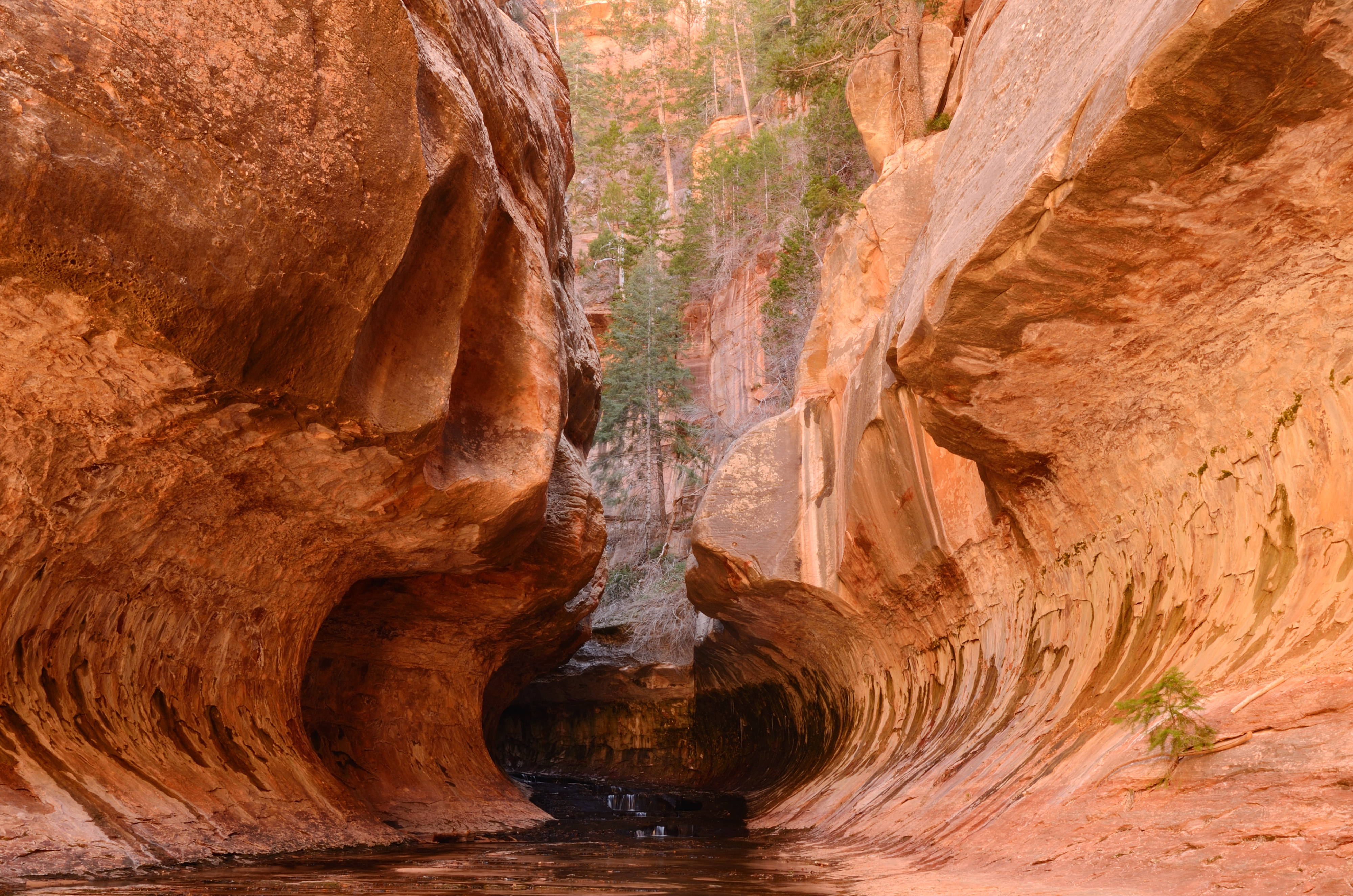 Man spends night in Zion after canyoneering accident