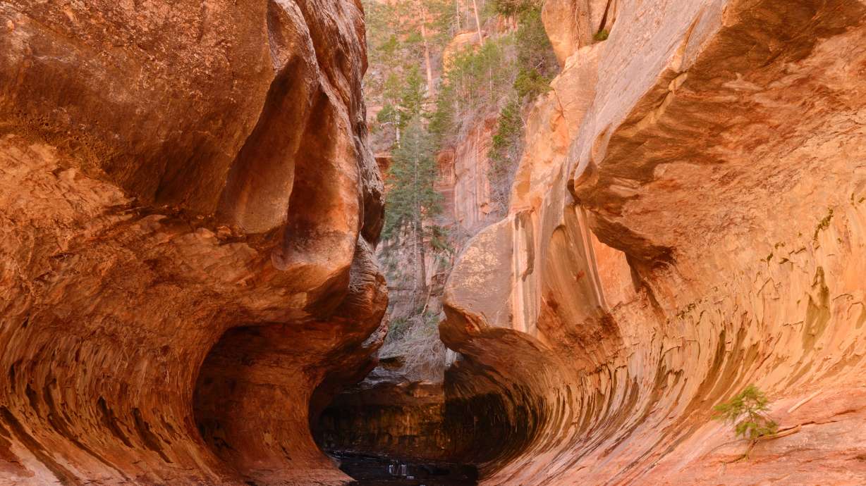 Tips for safe hiking as Zion sees 78% jump in rescue calls