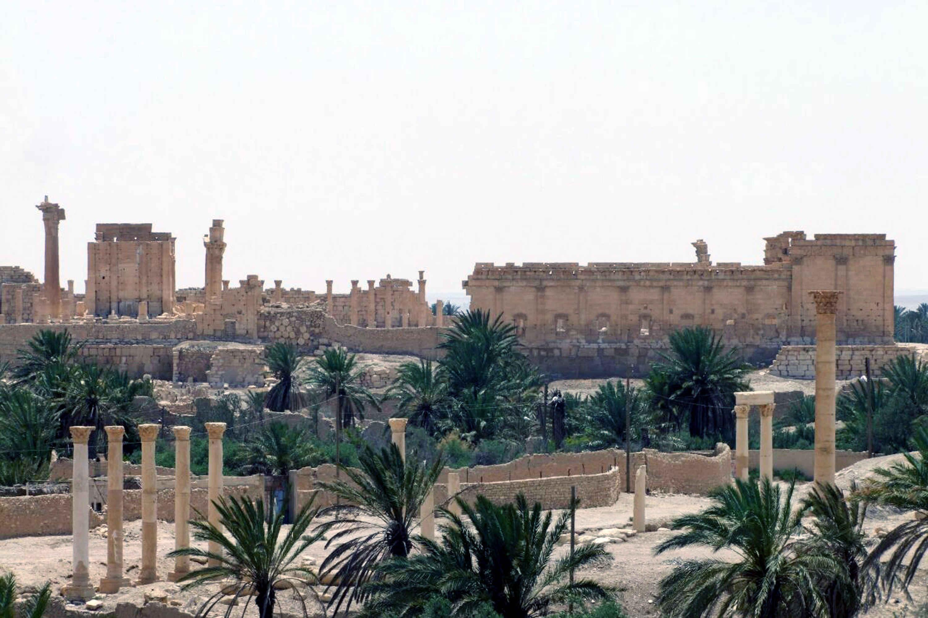 Fears mount over Palmyra as IS expands territory in Syria