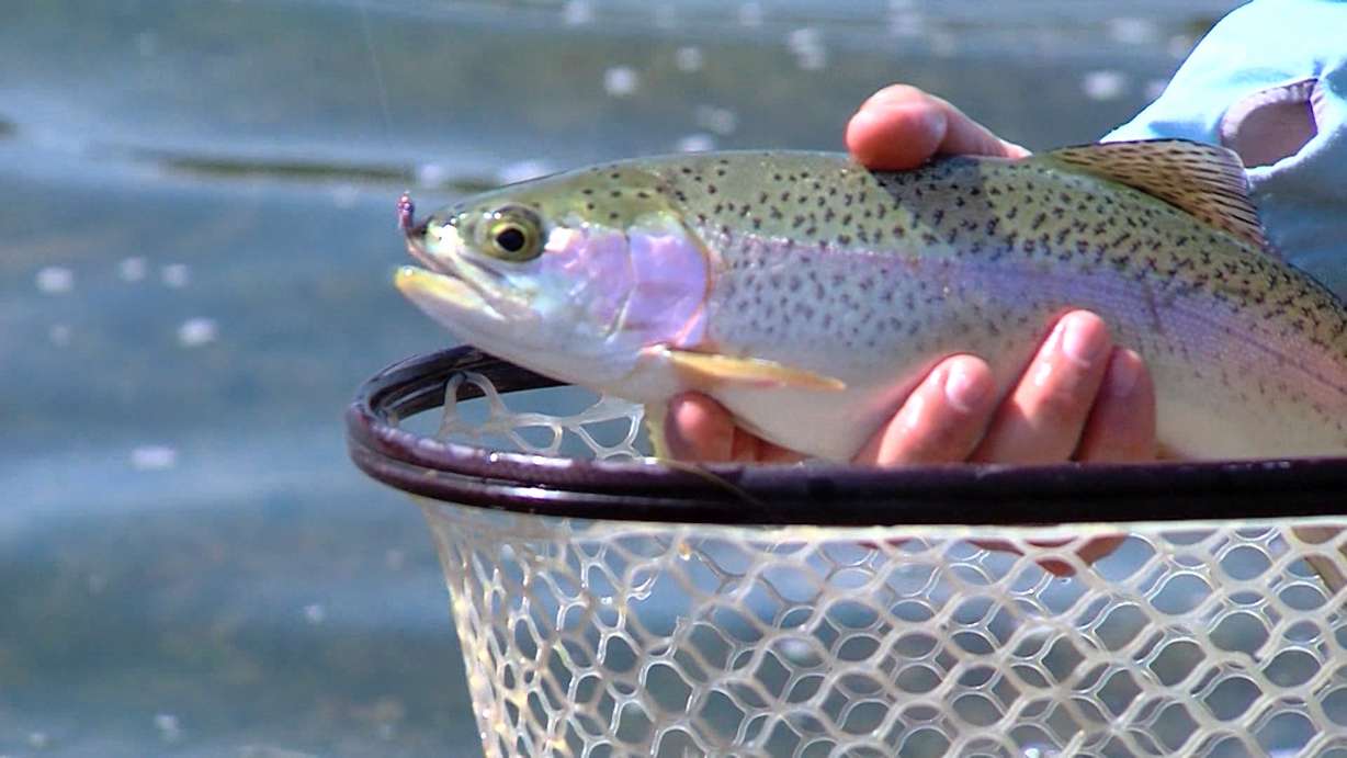 Utah anglers reel in a win as judge tosses stream access' law