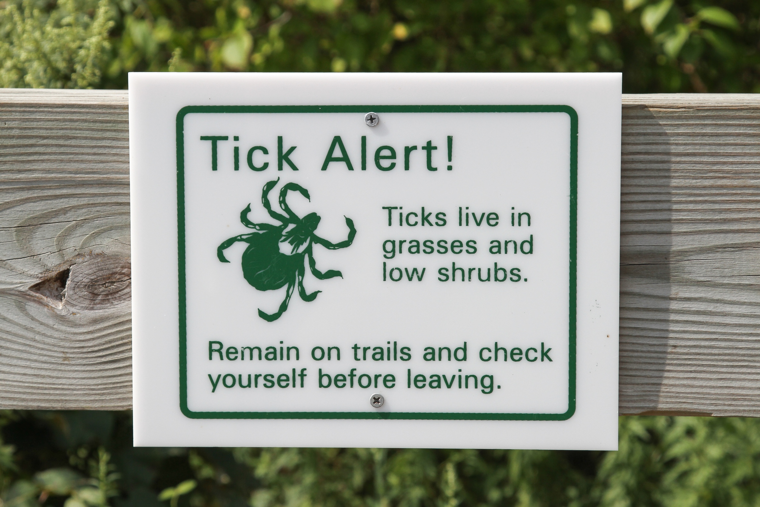Nonprofit warning Utahns about Lyme disease risk, symptoms