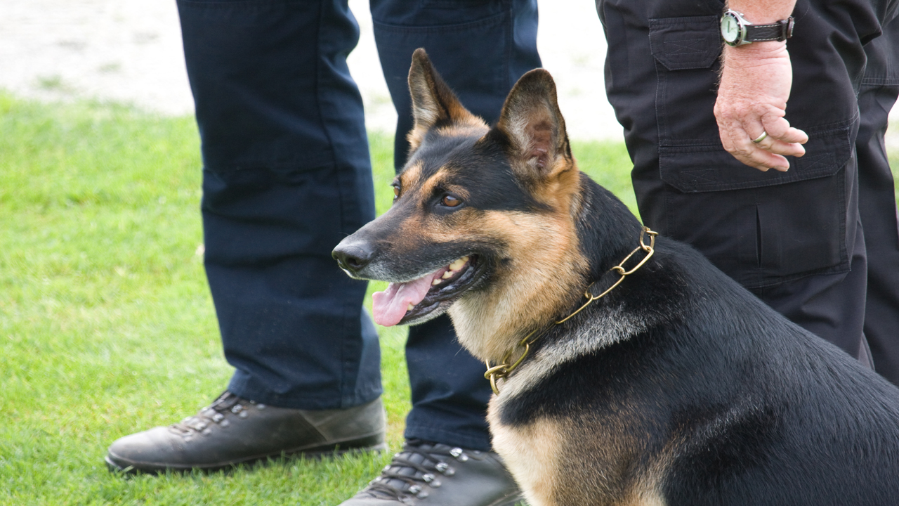 Utah lawmakers stiffen penalty for killing police dog