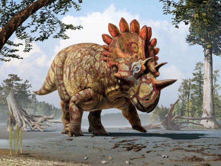 New 'Hellboy' horned dinosaur is like Triceratops, only frillier