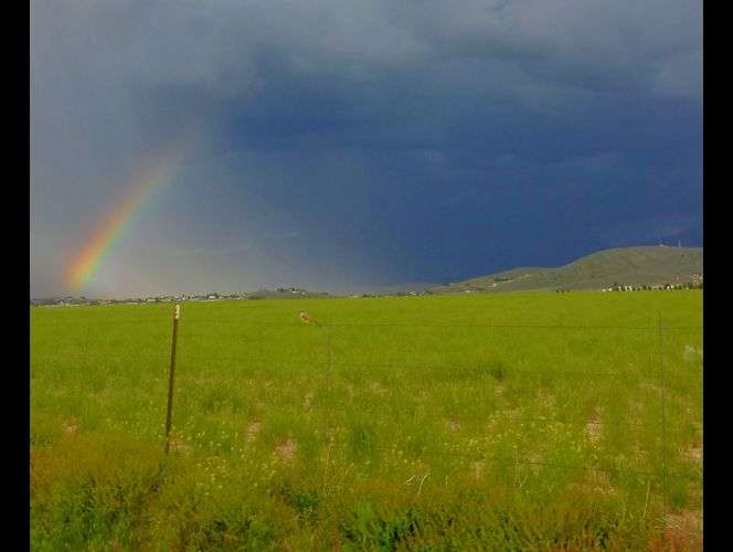 Tormentas de granizo y fuertes vientos azotan gran parte de UT causando inundaciones