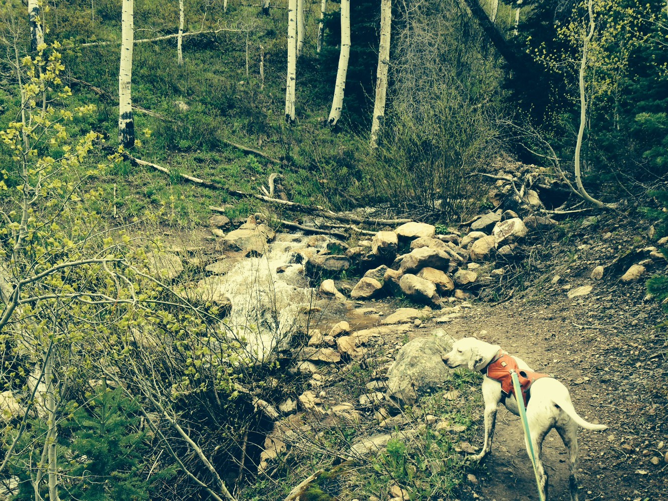 2 hikes now accessible in the Uinta Mountains