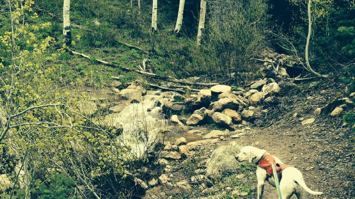 2 hikes now accessible in the Uinta Mountains