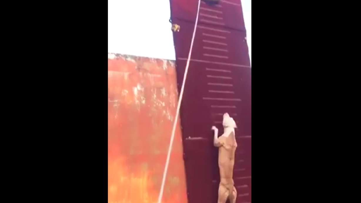 Have You Seen This? Pit bulls are strong