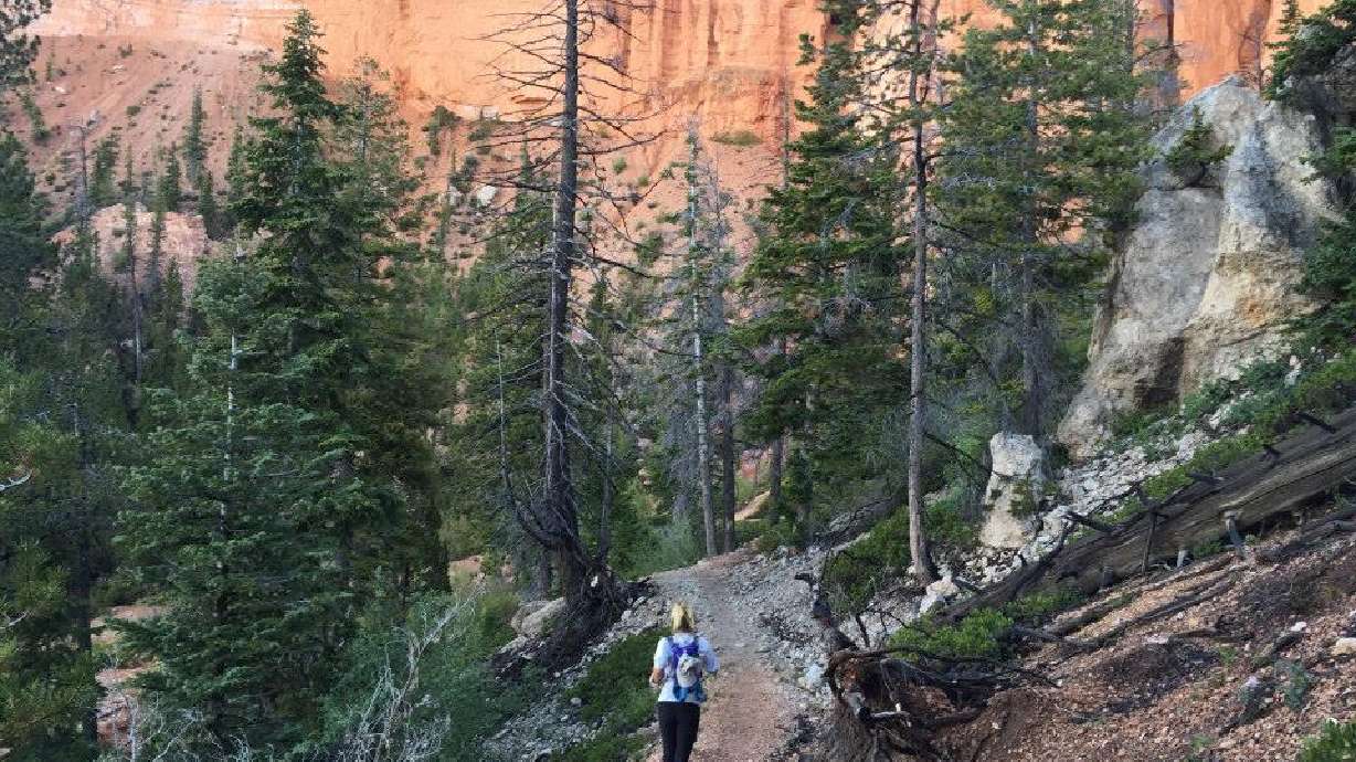 Woman survives pancreatic cancer, runs 100 miles one year later