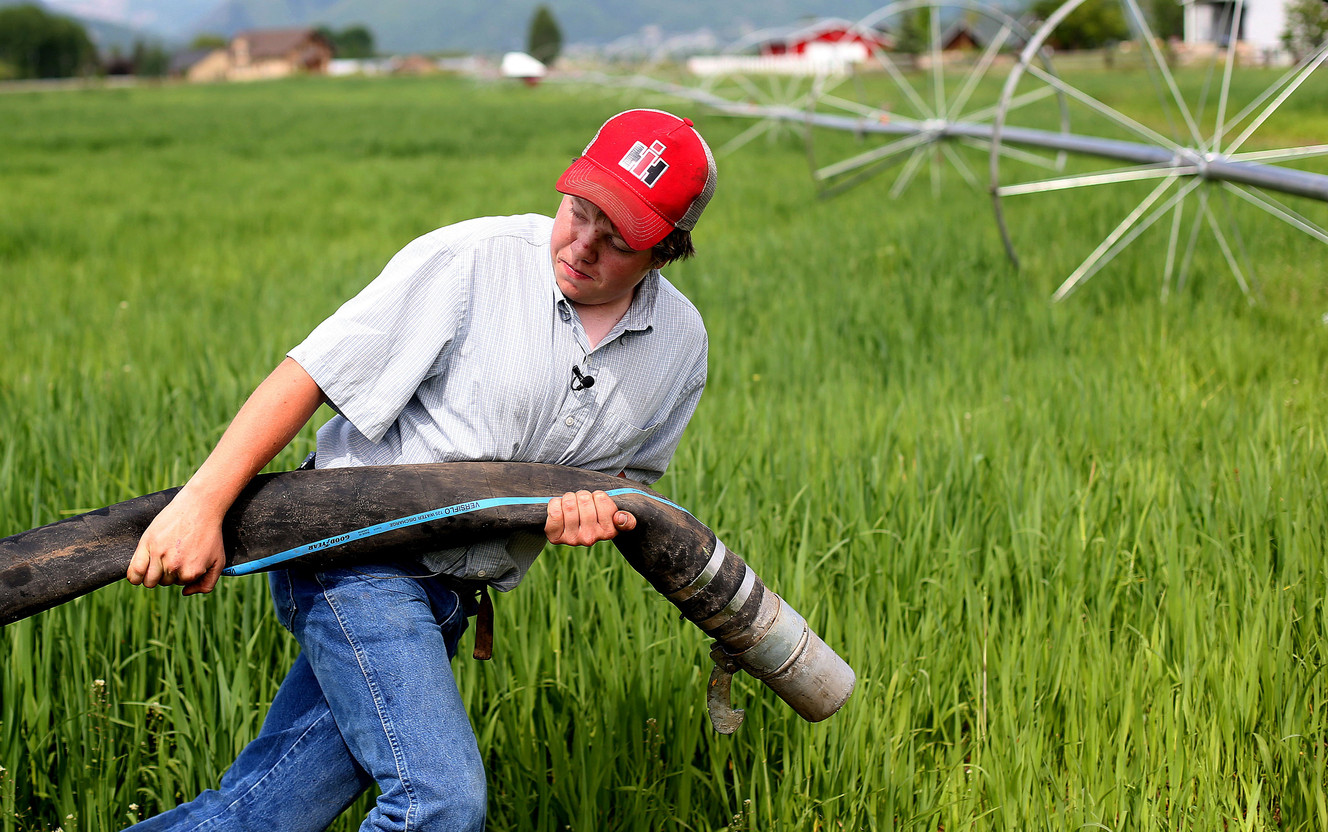 Vast potential for water conservation on farms, study shows