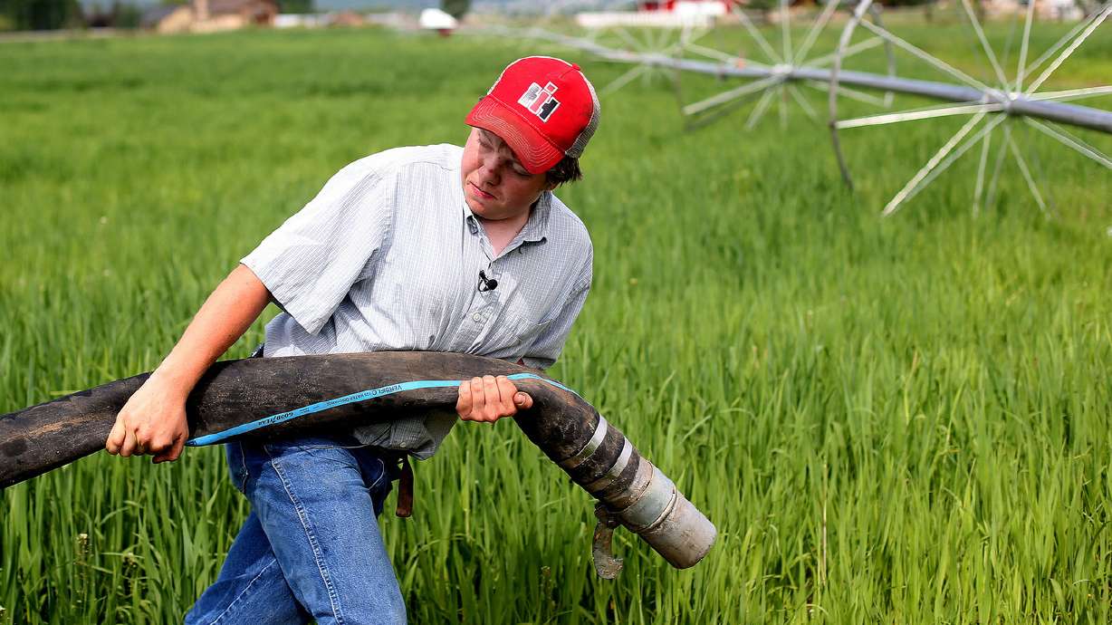 Vast potential for water conservation on farms, study shows