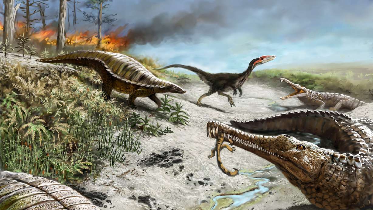 Tropical climate extremes kept dinosaurs at bay, study says