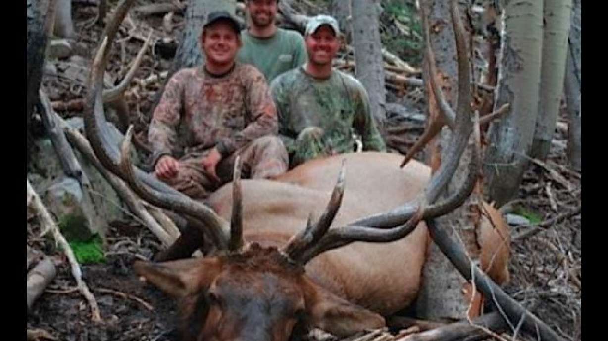 5 Hombres de UT enfrentan cargos y multas por haber cazado furtivamente a "alces trofeos"