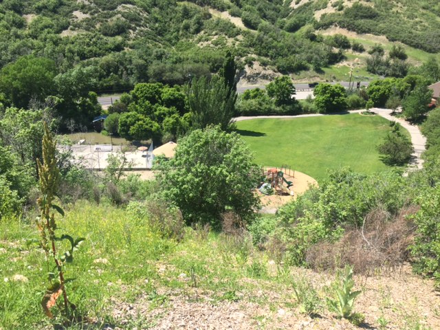 Utah camp helps people with disabilities develop life-skills