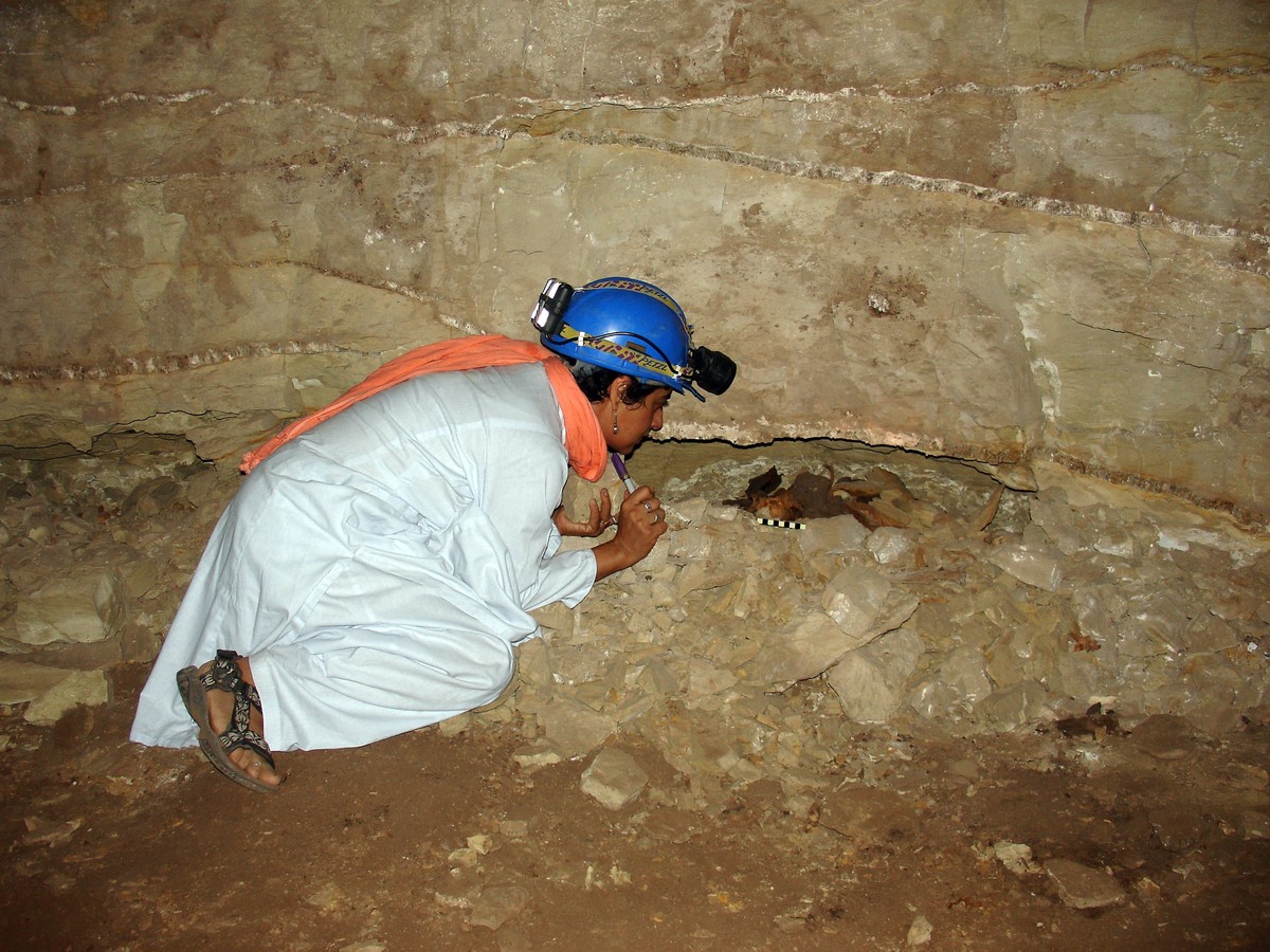 8M mummified animals, mostly dogs, in catacombs at Egypt site