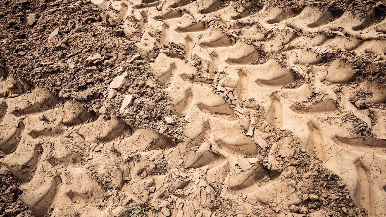 Washington City man dies after ATV crashes on embankment