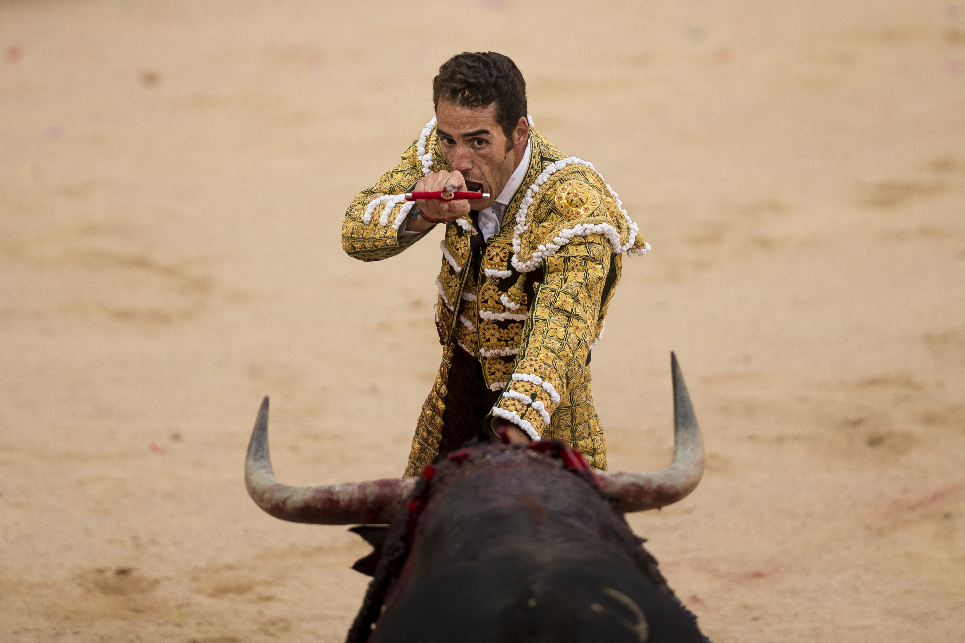 1 Australian gored, 2 injured in fast 2nd Pamplona bull-run