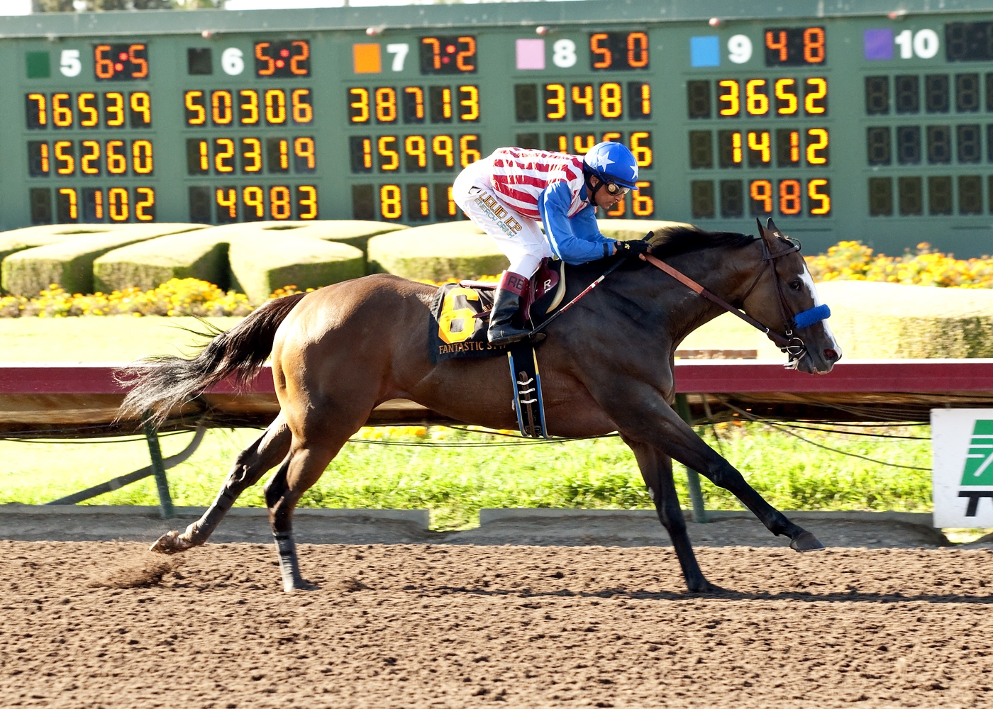Fantastic Style wins Great Lady M. Stakes for Bob Baffert