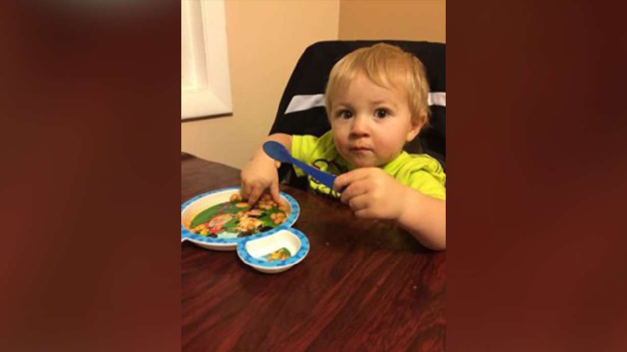 Search for missing Idaho toddler 'scaled back,' sheriff says