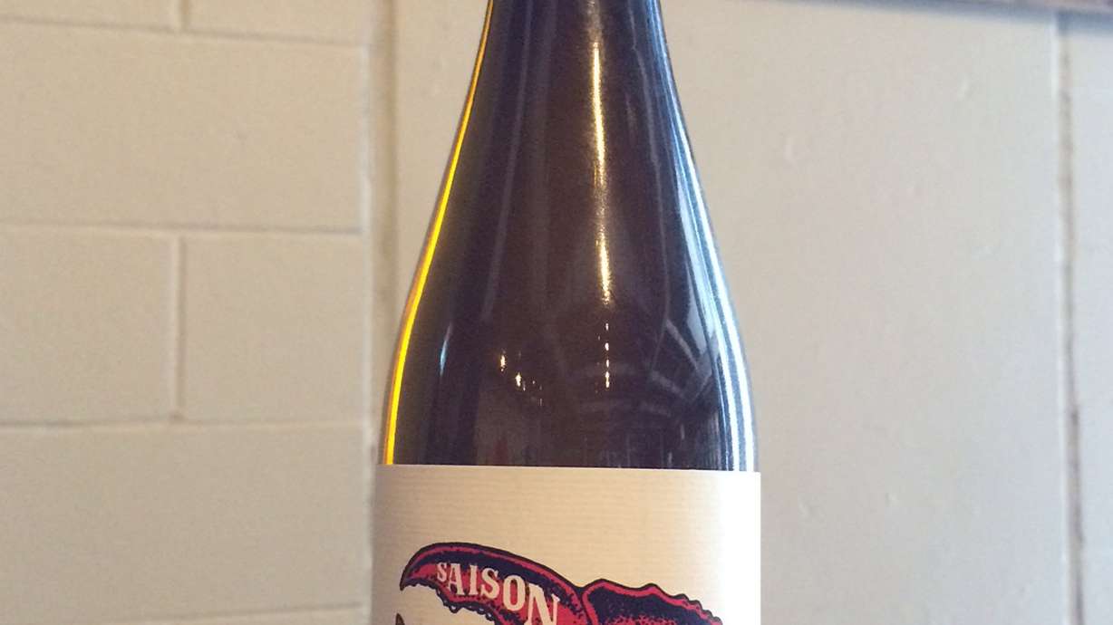 Maine brewer makes beer out of live lobsters, sea salt