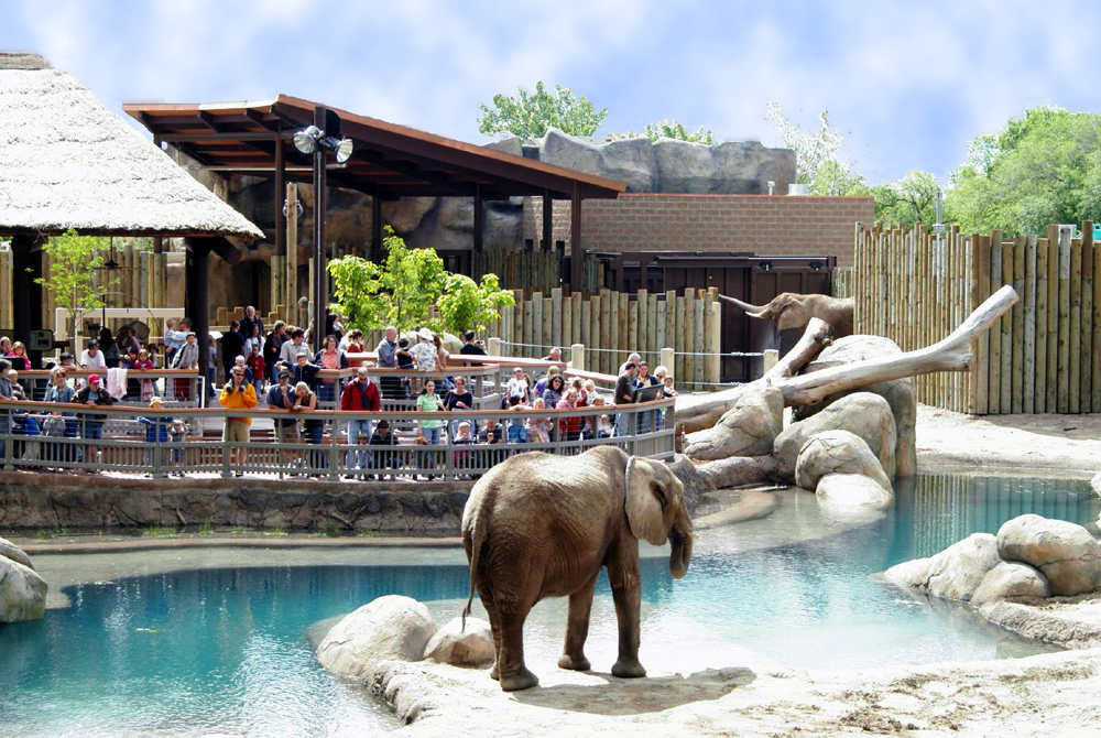 Photo credit: Hogle Zoo