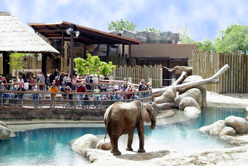 Photo credit: Hogle Zoo