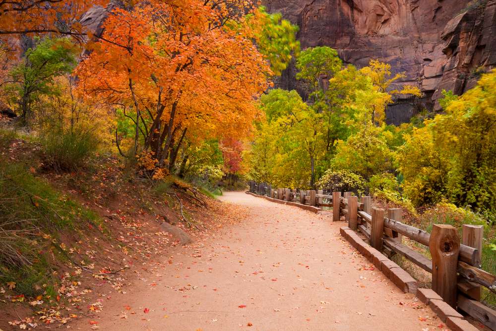 Photo credit: Shutterstock | Riverside Trail