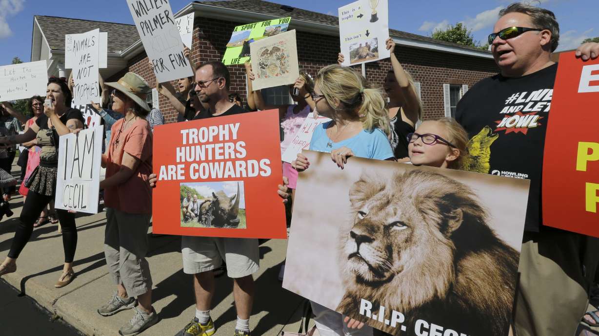 Zimbabwean baffled by foreign concern for killed lion