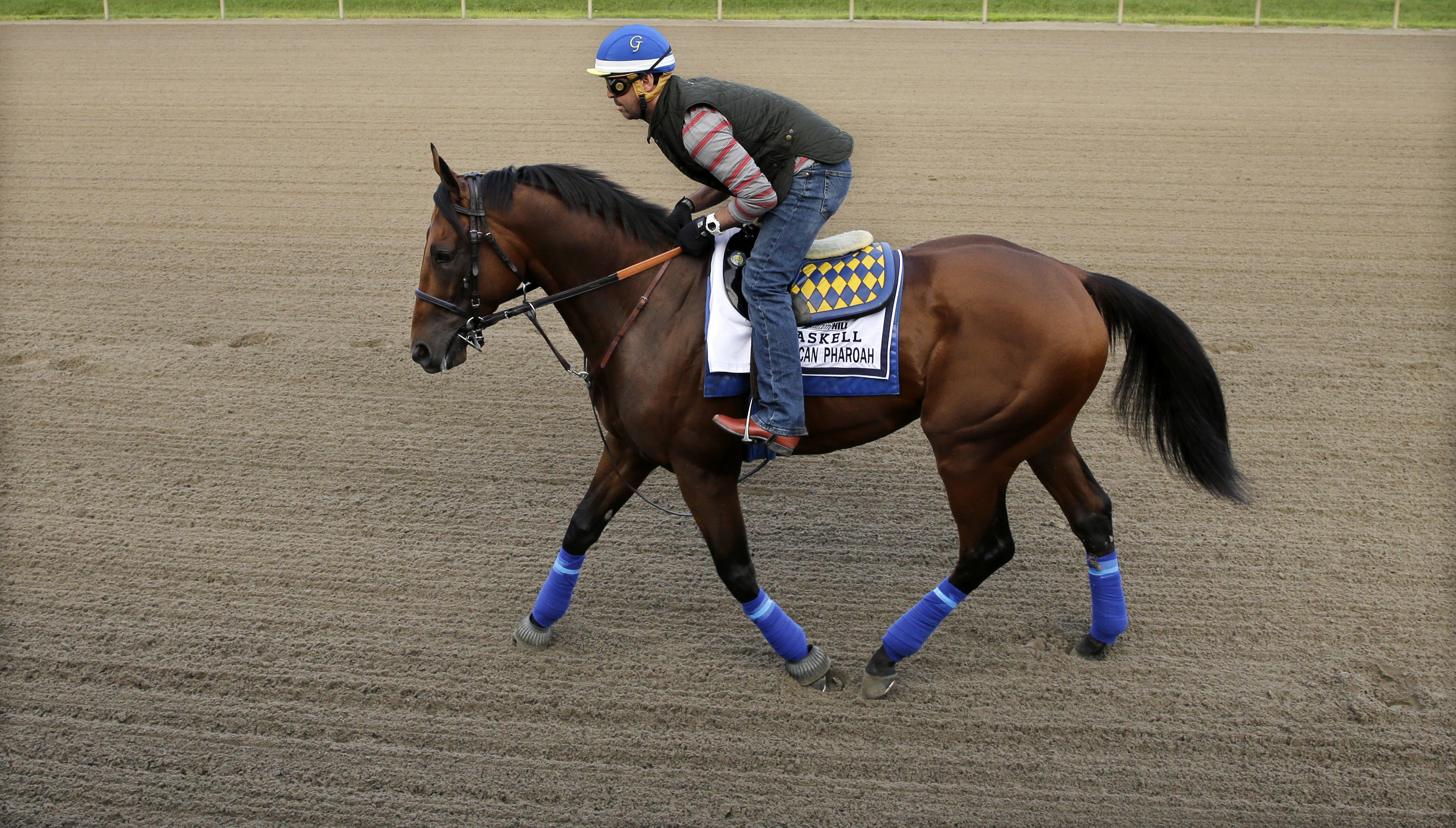 Triple Crown winner American Pharoah tours Monmouth Park