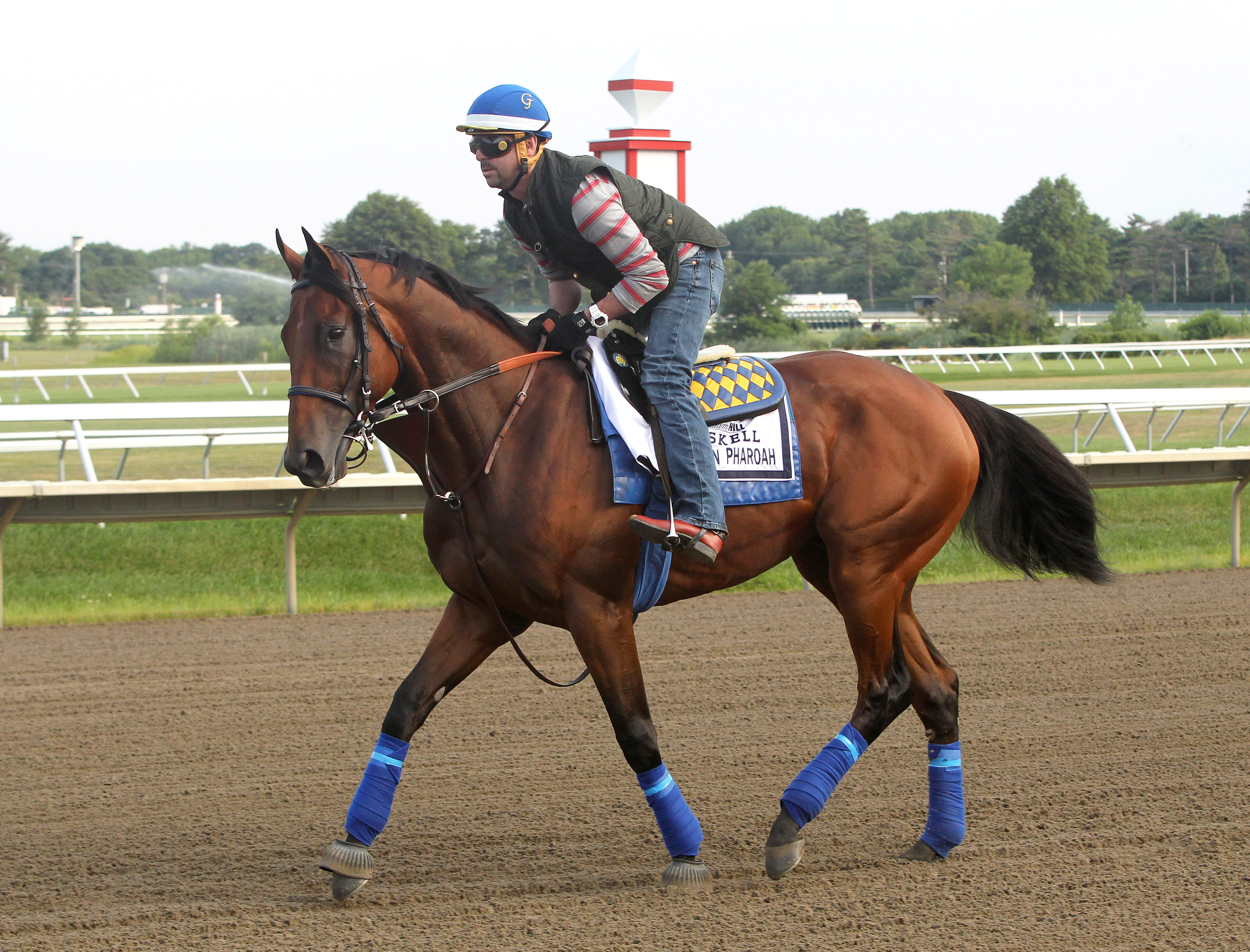 American Pharoah 1-5 favorite for Haskell in 8-horse field
