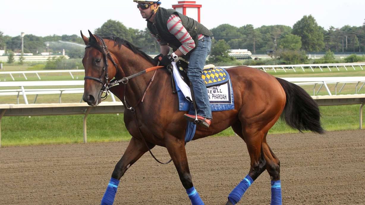 American Pharoah 1-5 favorite for Haskell in 8-horse field